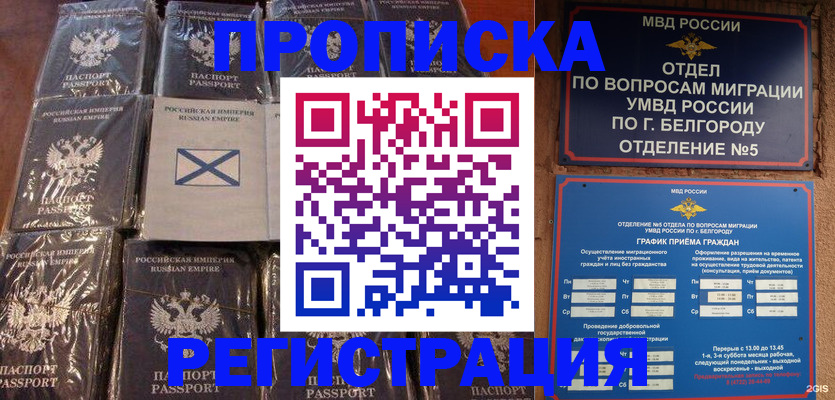 прописка гарантия в Наволоках